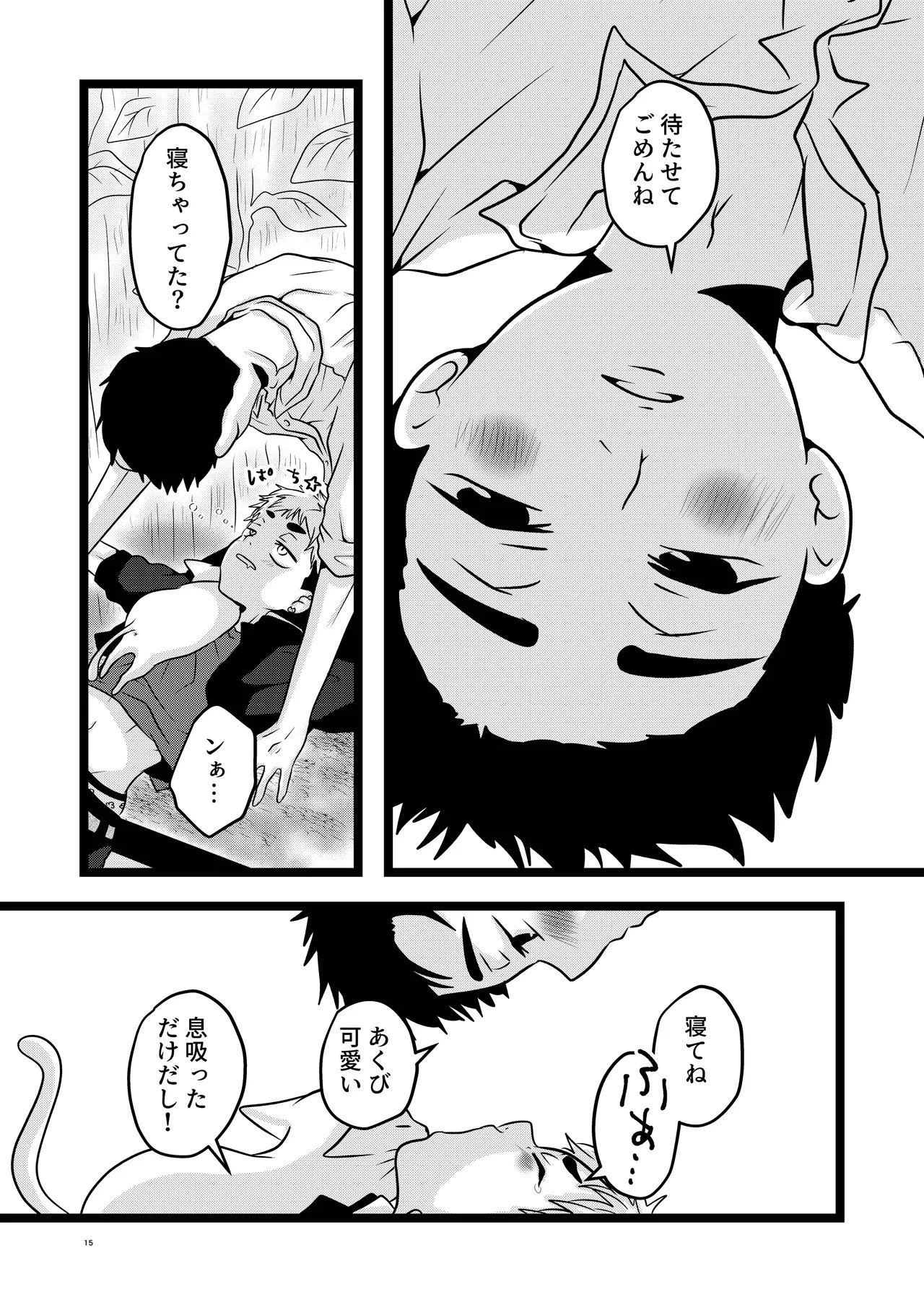 Page 15