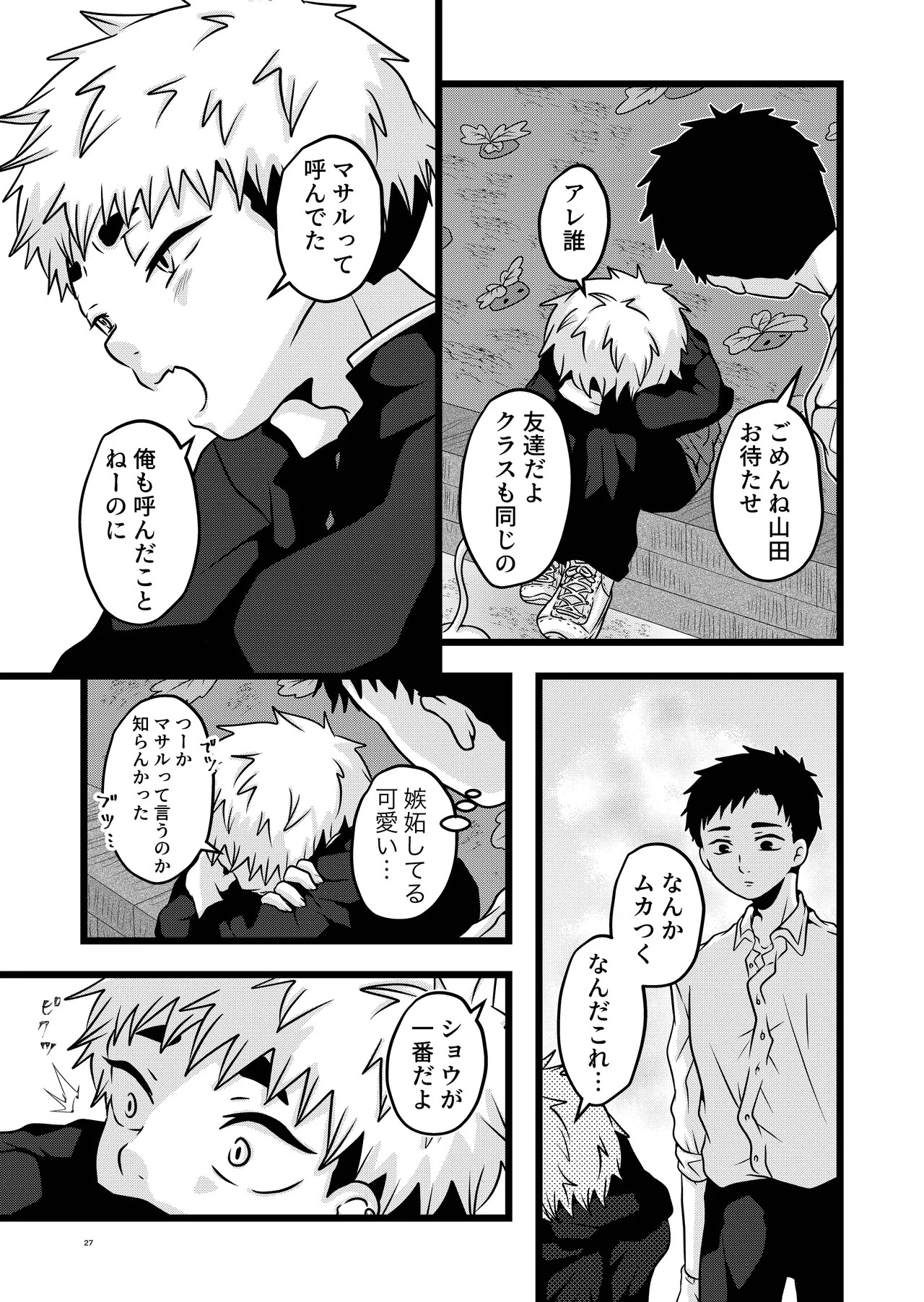 Page 27
