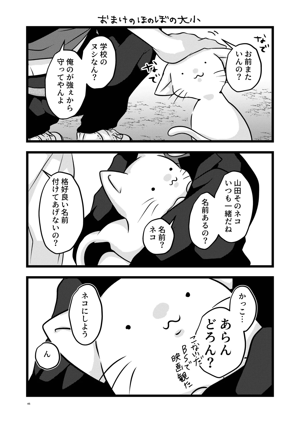 Page 45