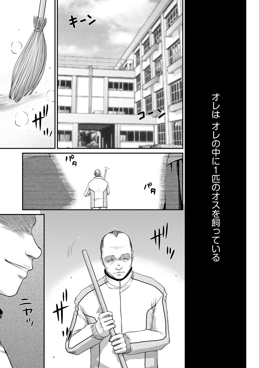 Page 247