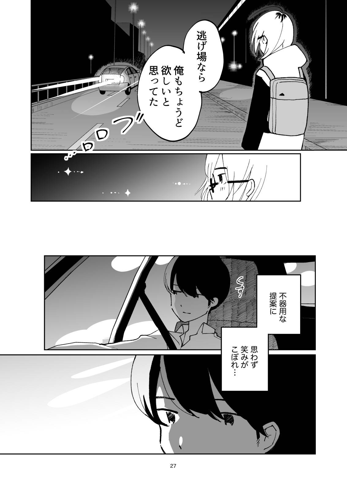 Page 27