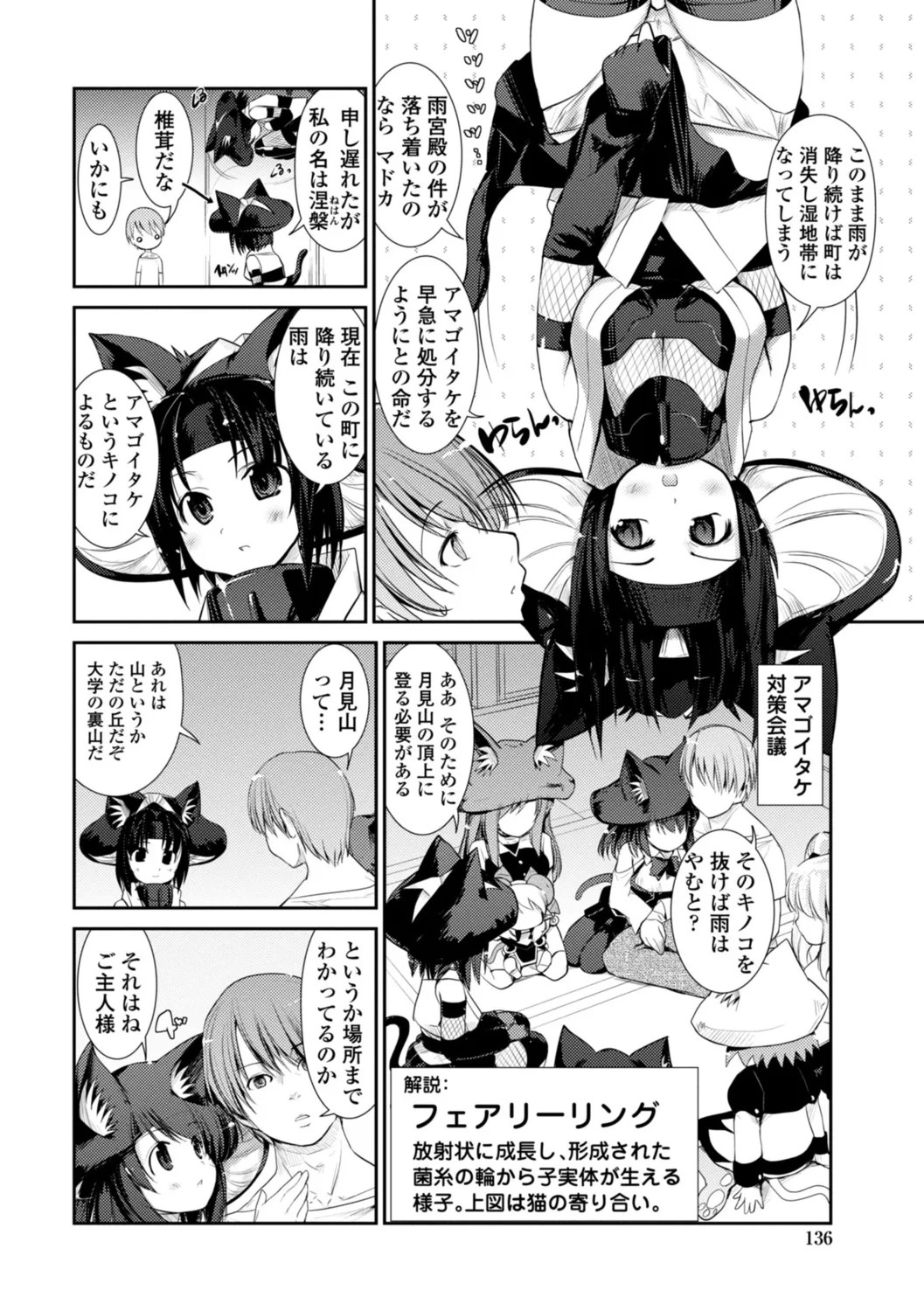 Page 136