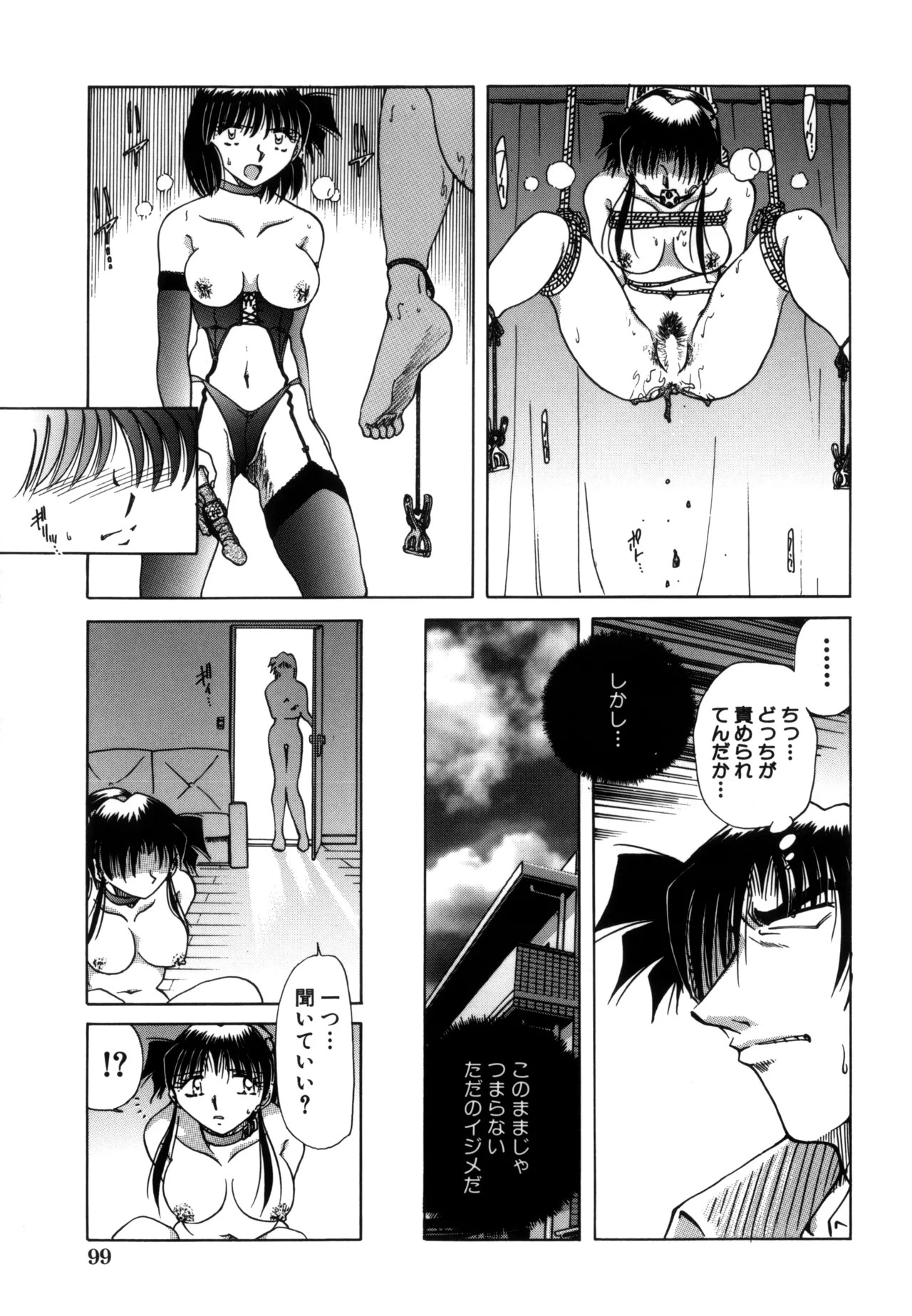 Page 101