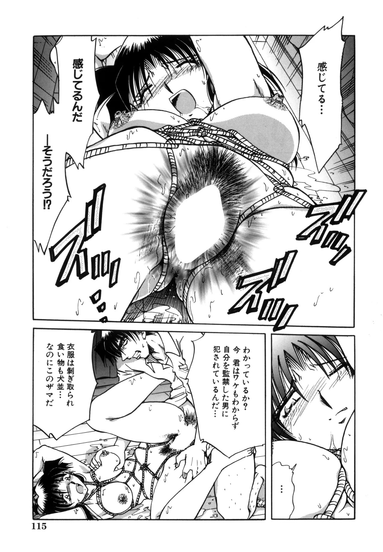 Page 117