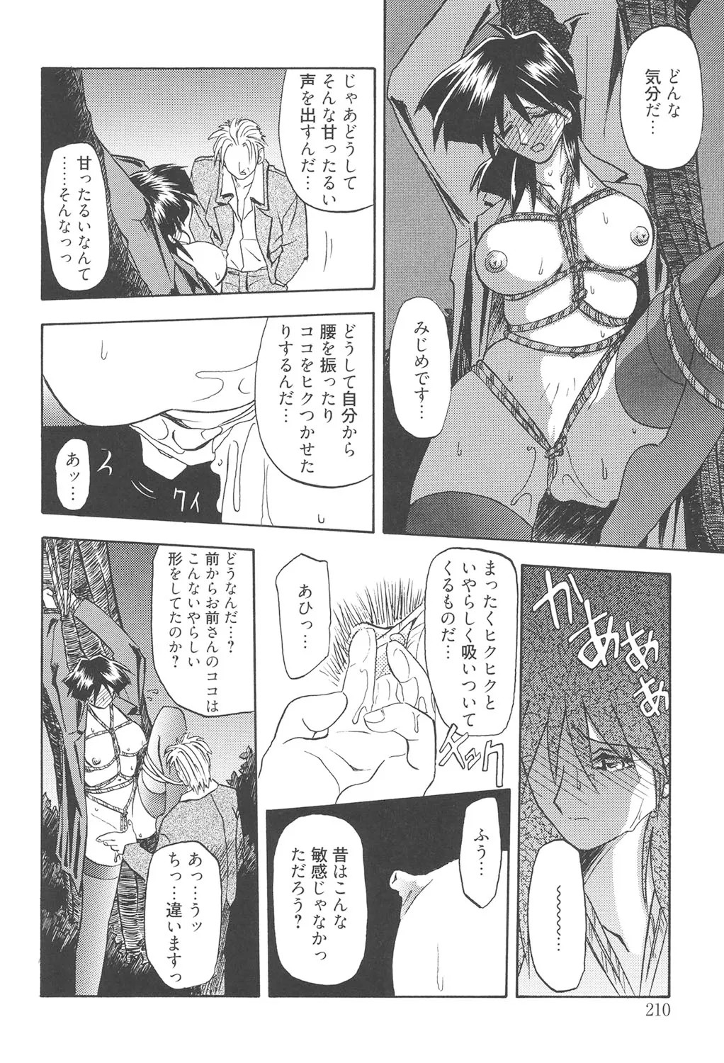Page 209