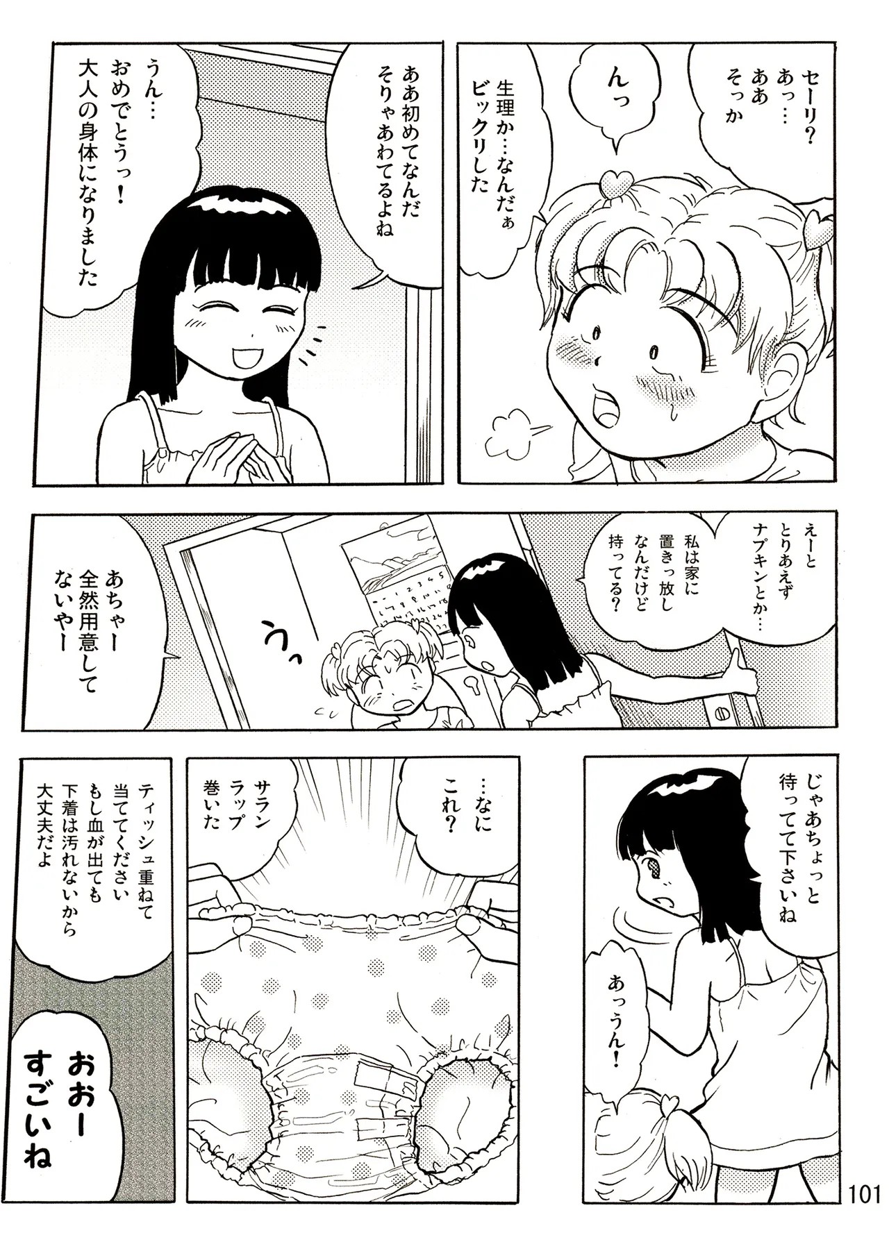 Page 101