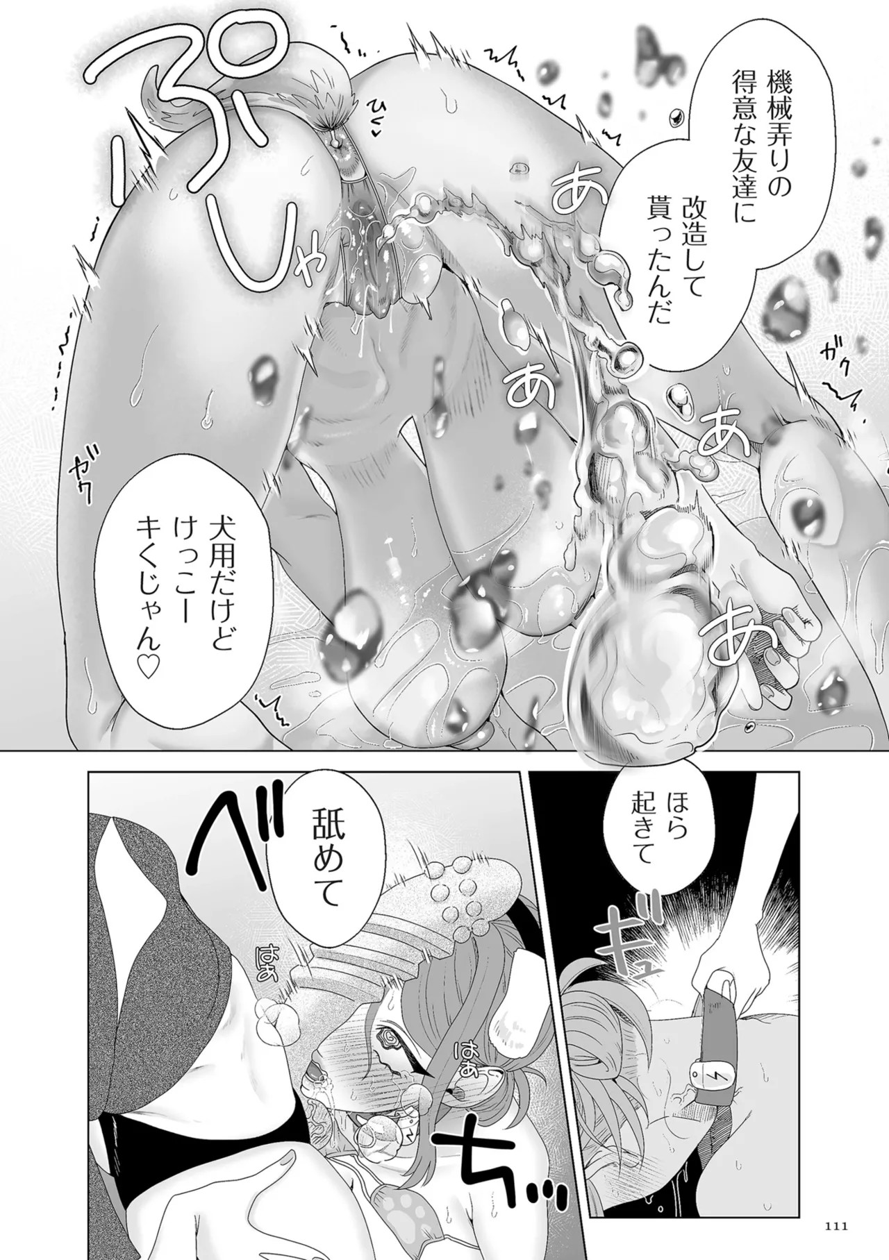 Page 111