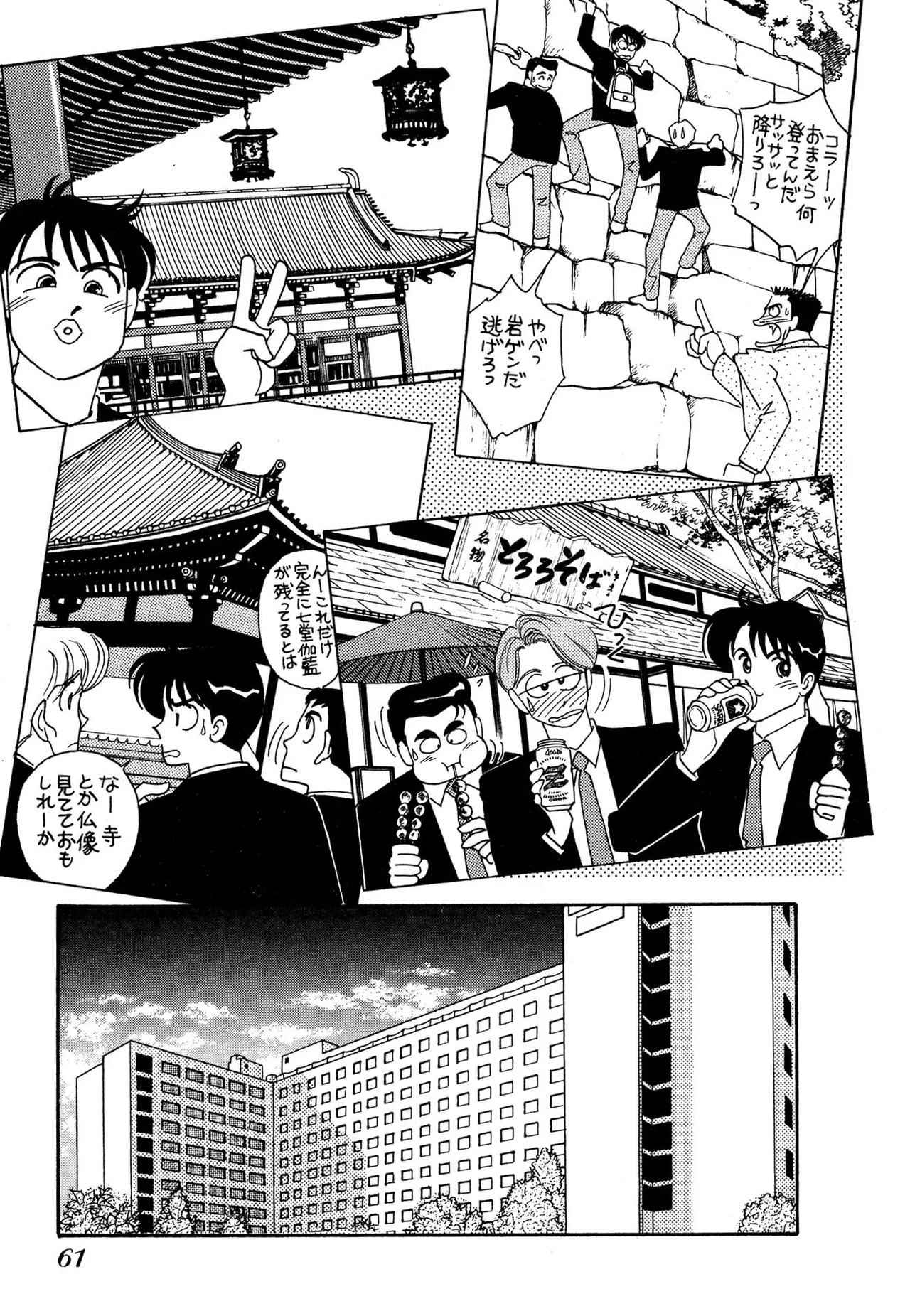 Page 61