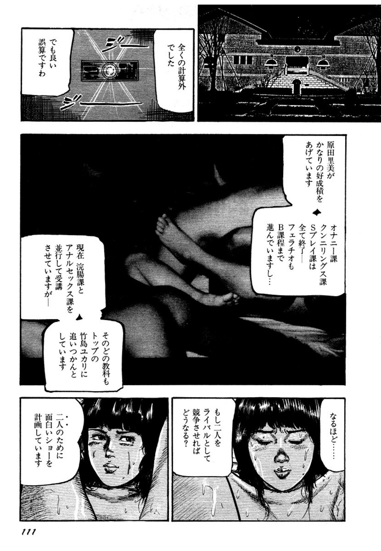 Page 111