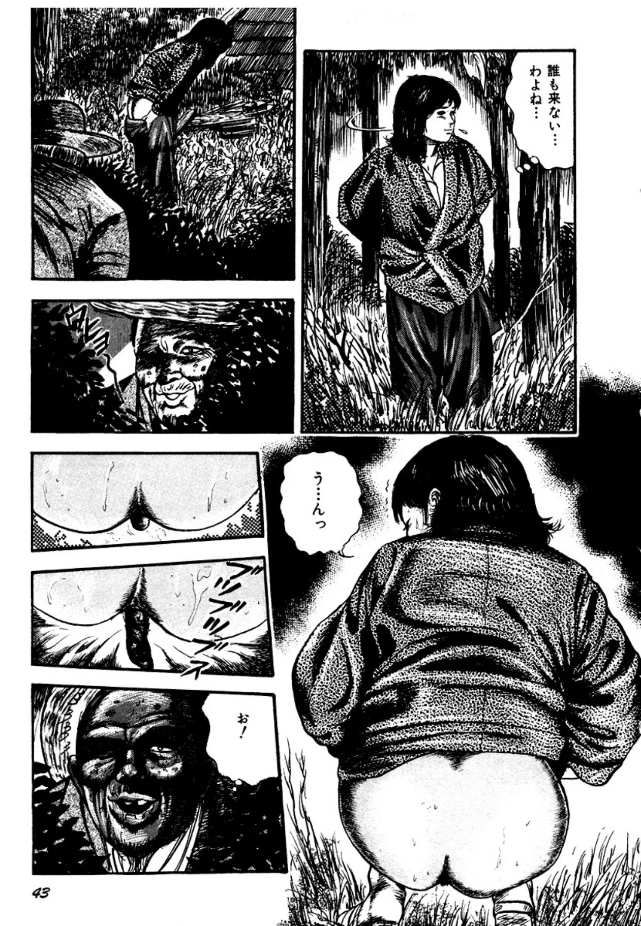 Page 43