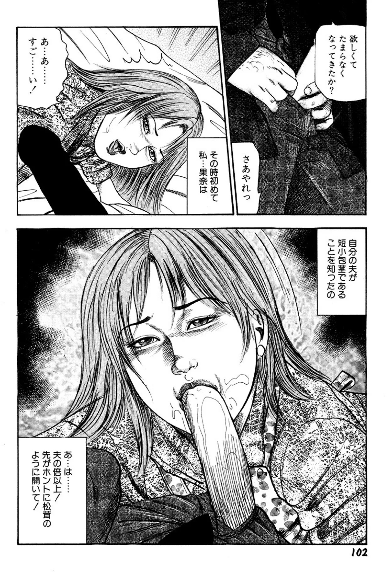 Page 102