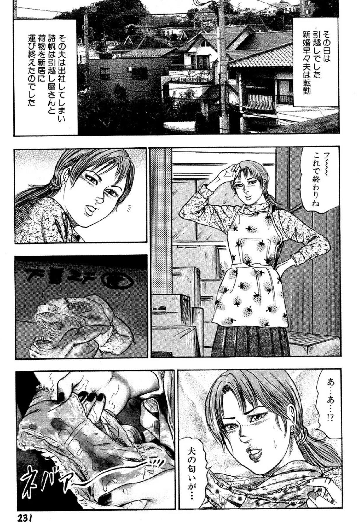 Page 231