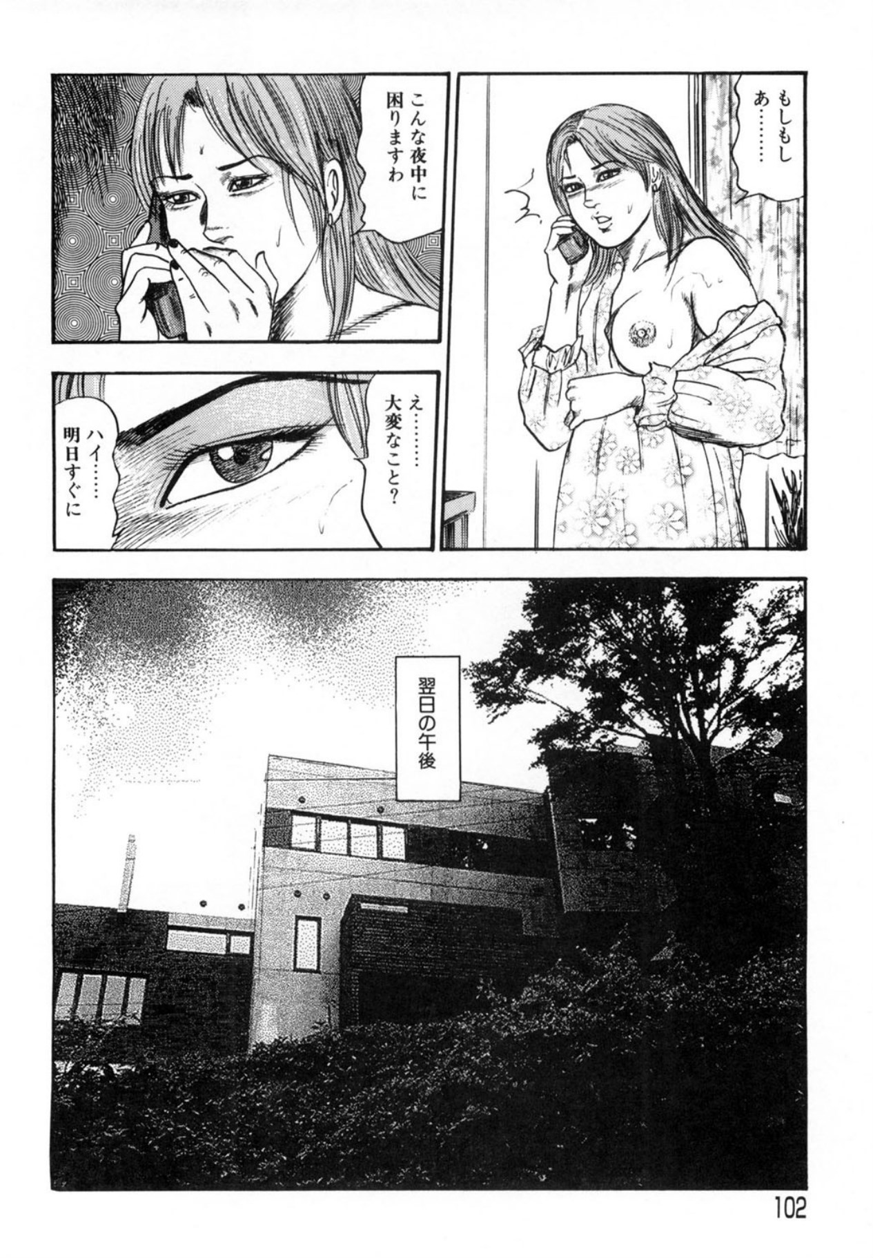 Page 102