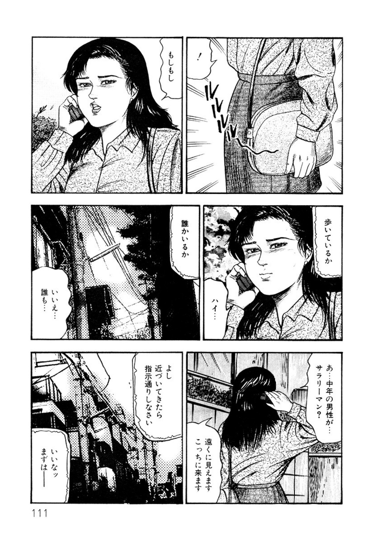 Page 111
