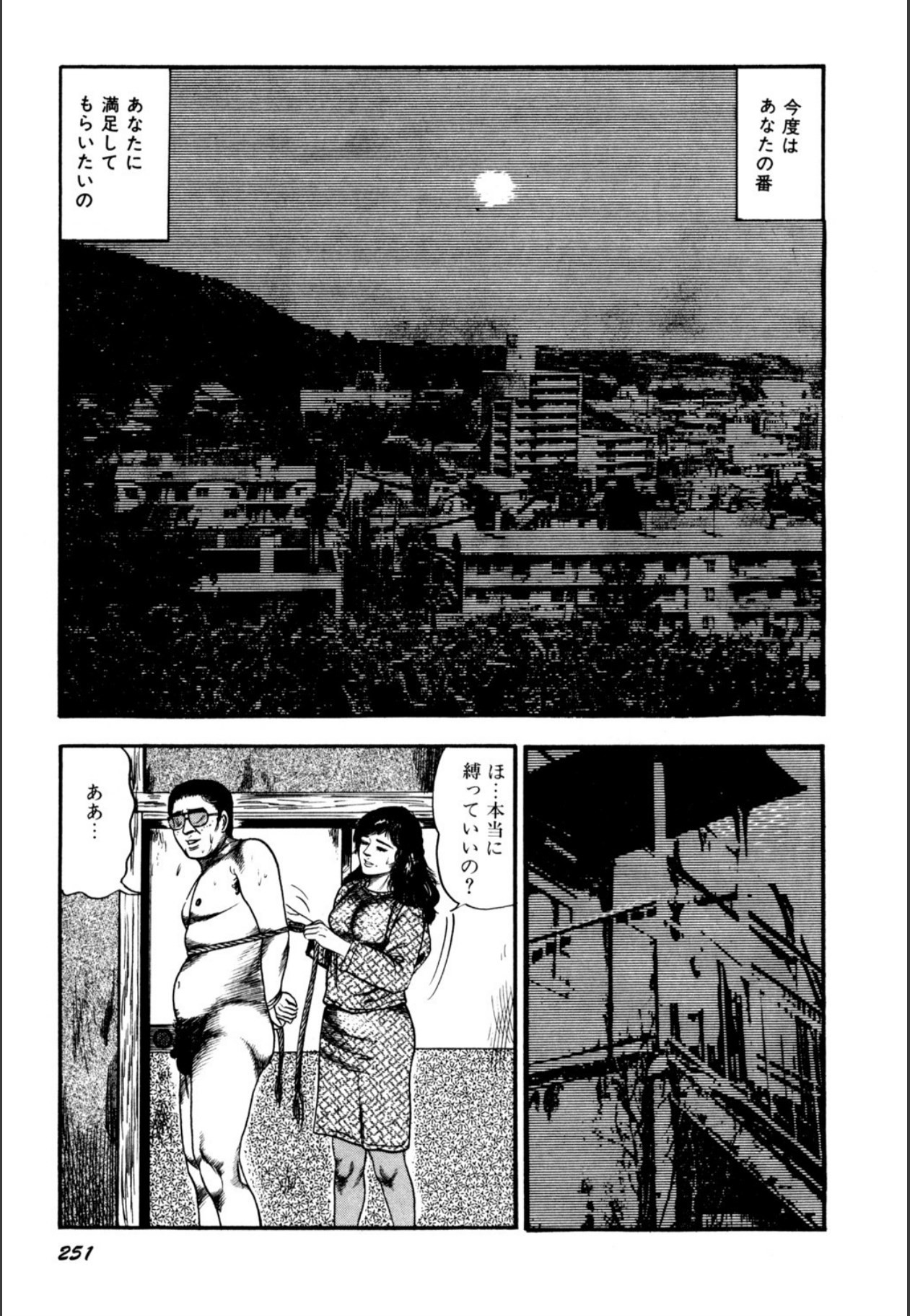 Page 253