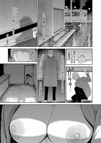 雌犬の夜  (私は雌犬)