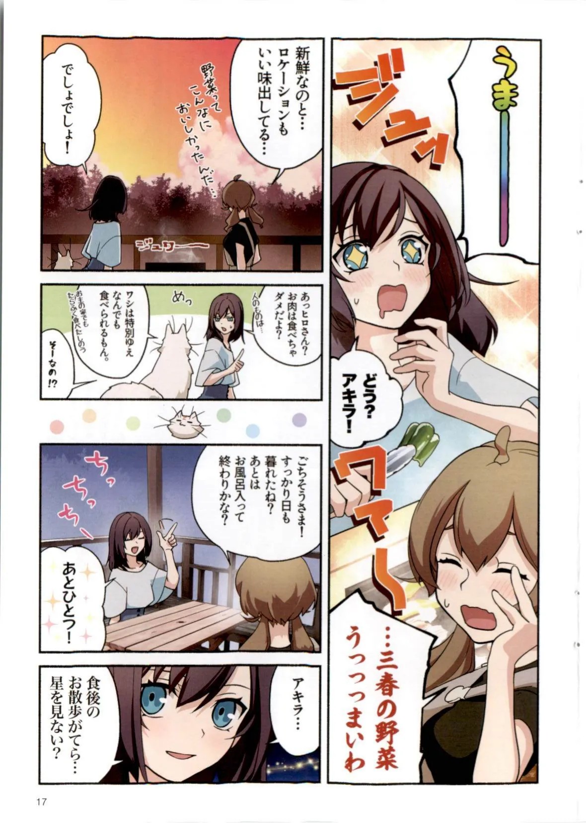 Page 17