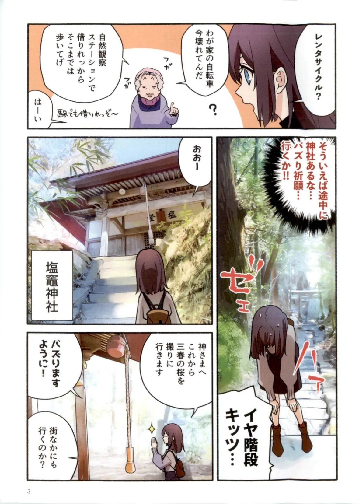 Page 3