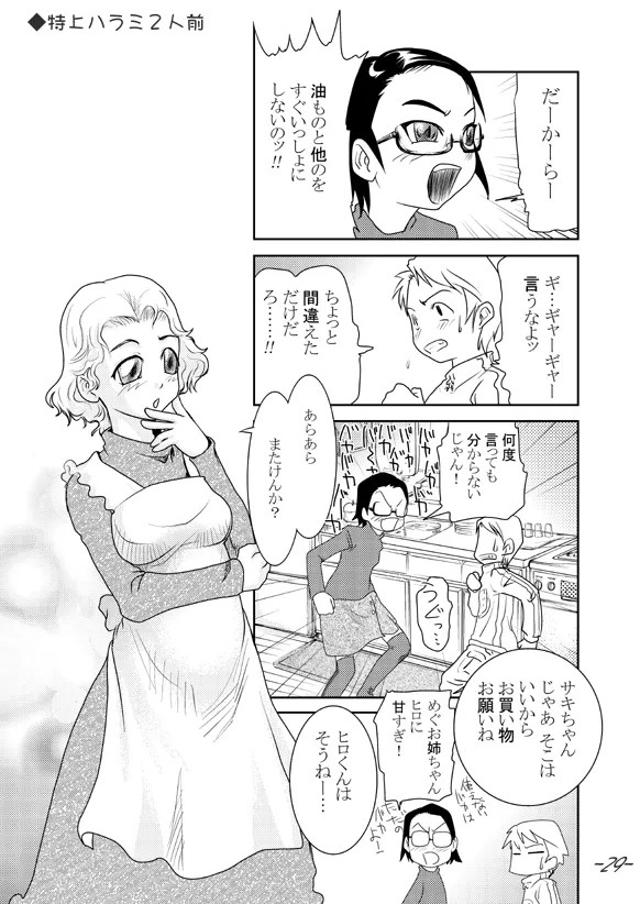 Page 29