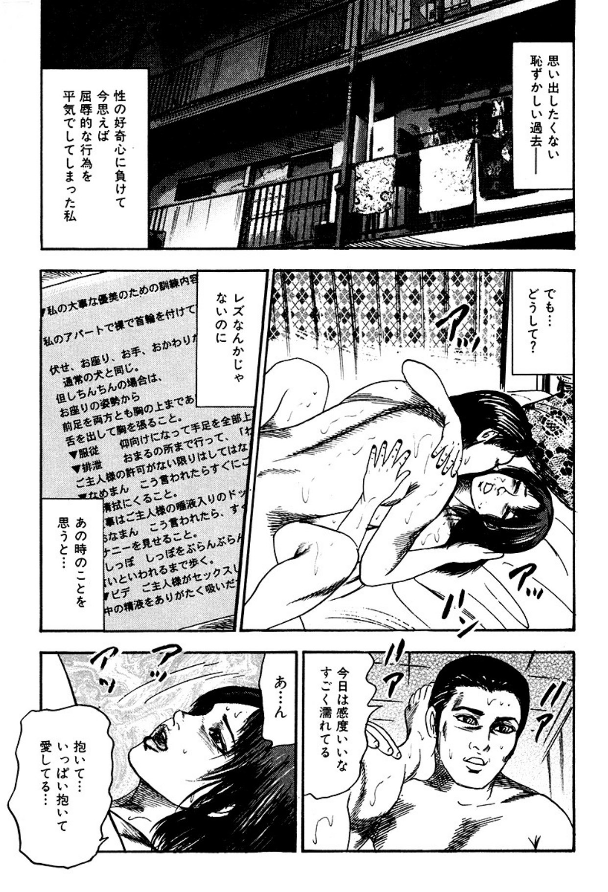 Page 255