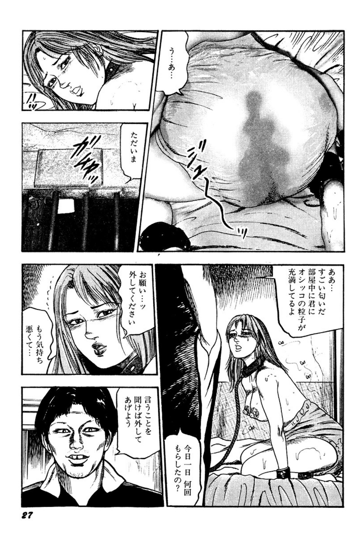 Page 27