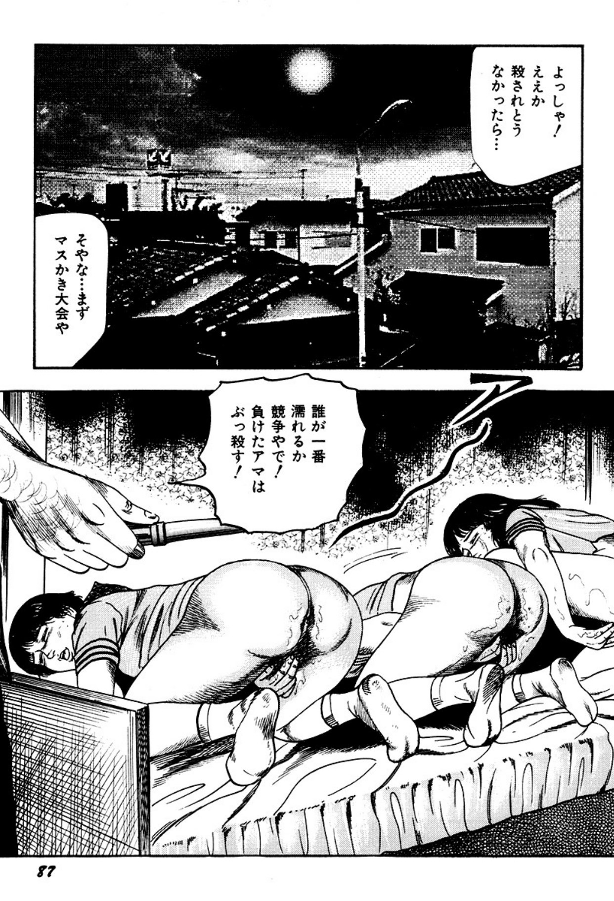 Page 87