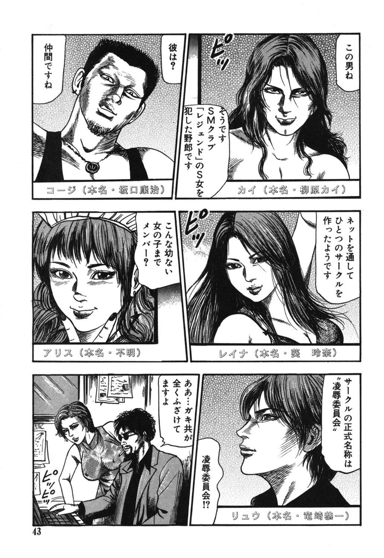 Page 43