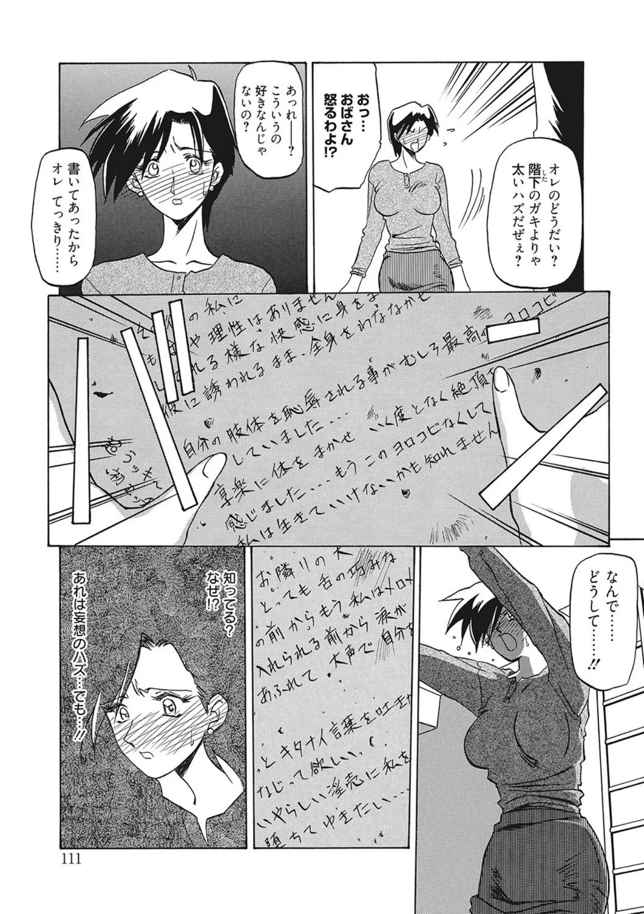Page 111