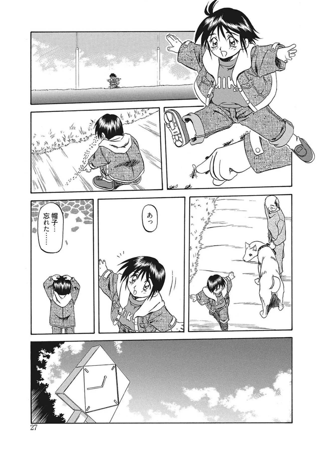 Page 27