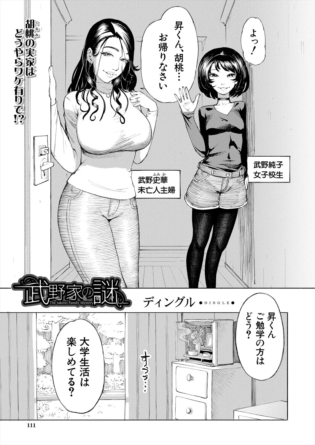 Page 111