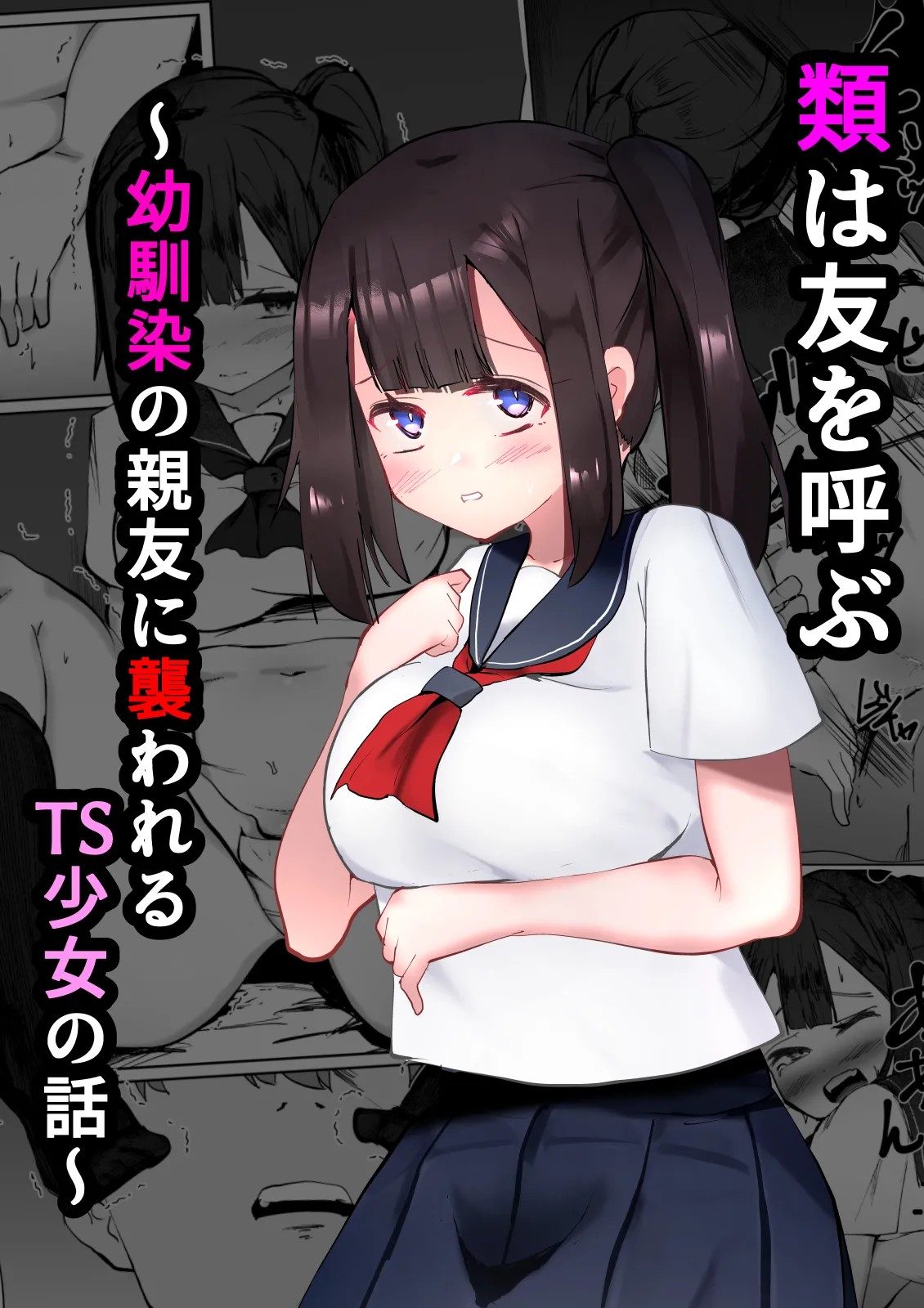 類は友を呼ぶ～幼馴染の親友に襲われるTS少女の話～