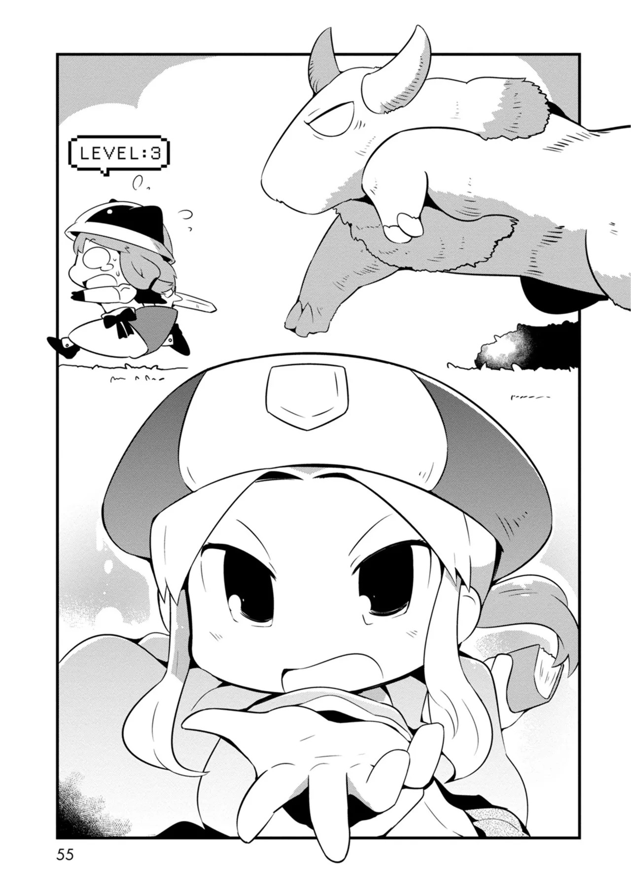 Page 55