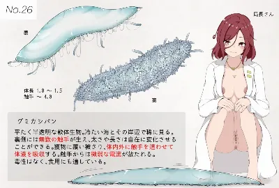 蟲研究レポートNo.26