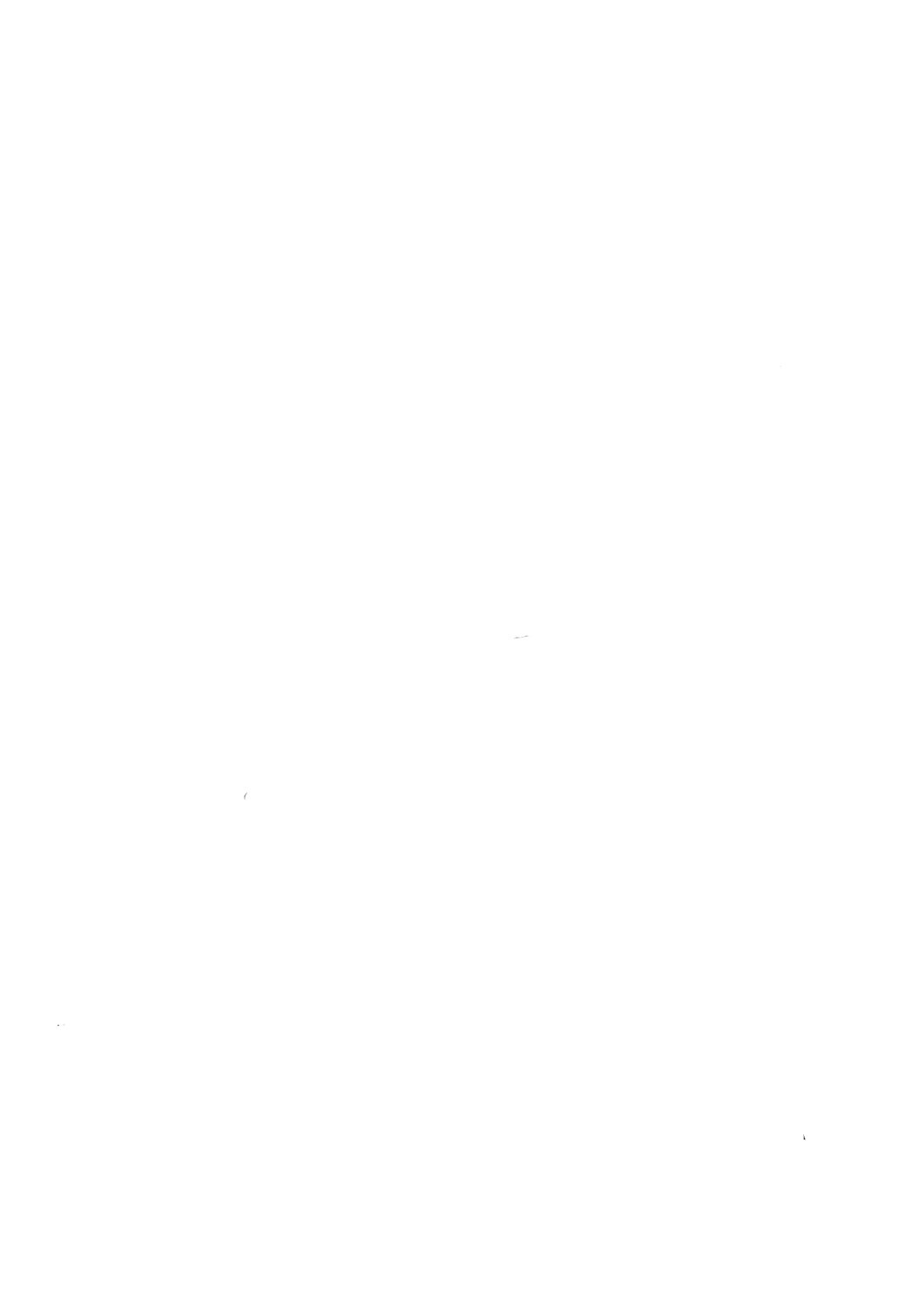 Page 391