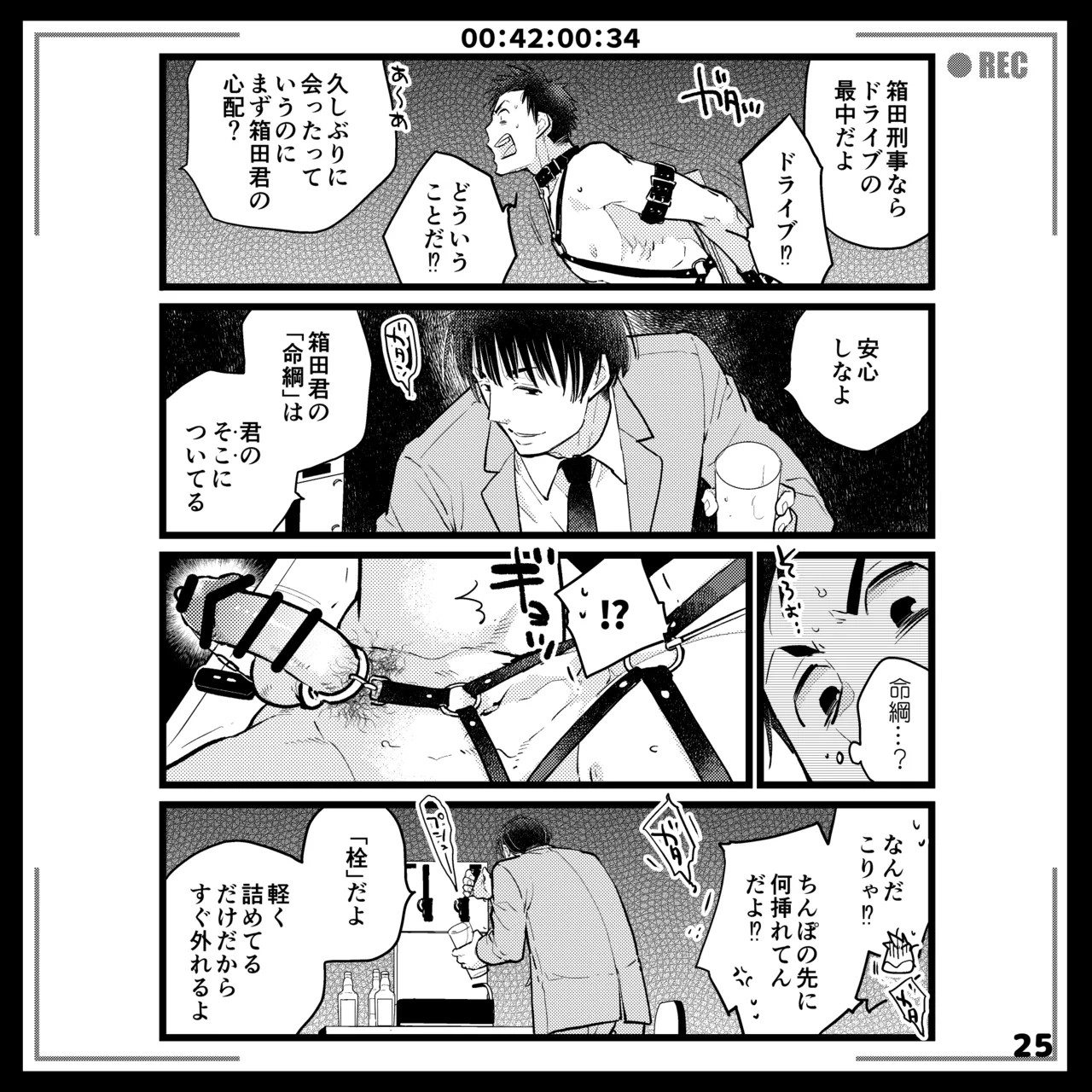 Page 25