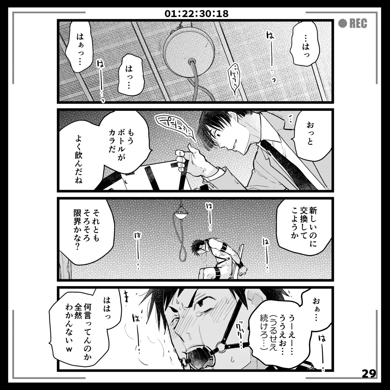 Page 29