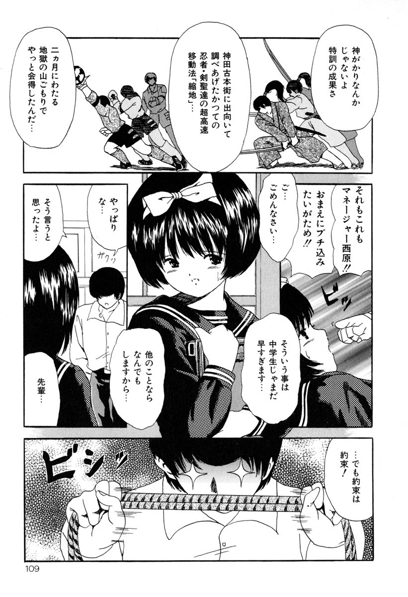 Page 111