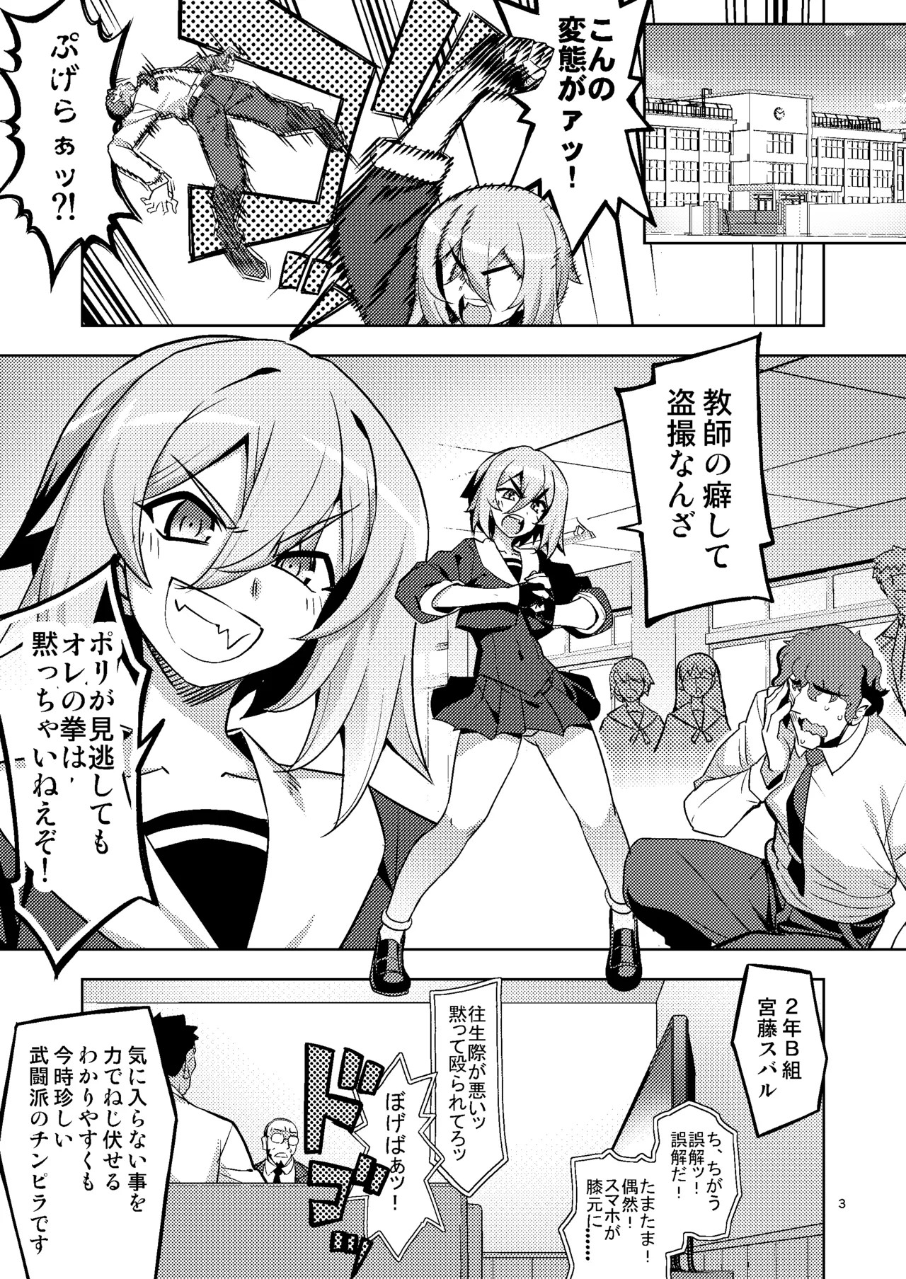 Page 3