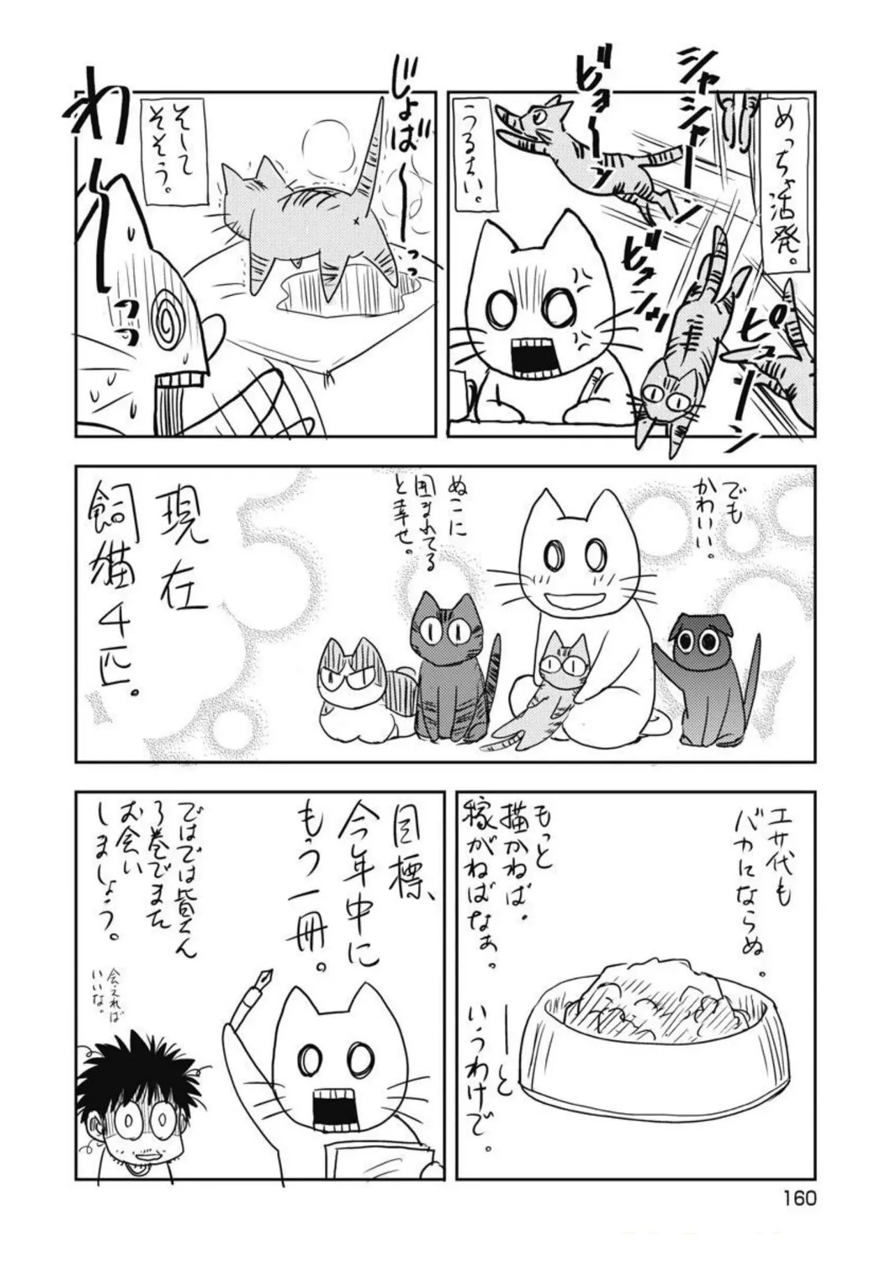 Page 161