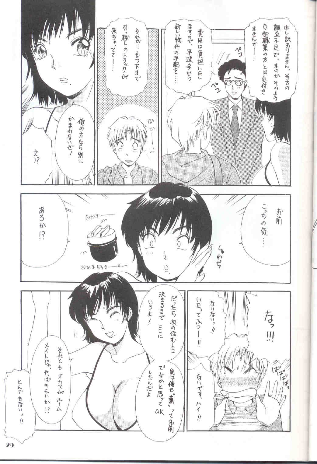 Page 29