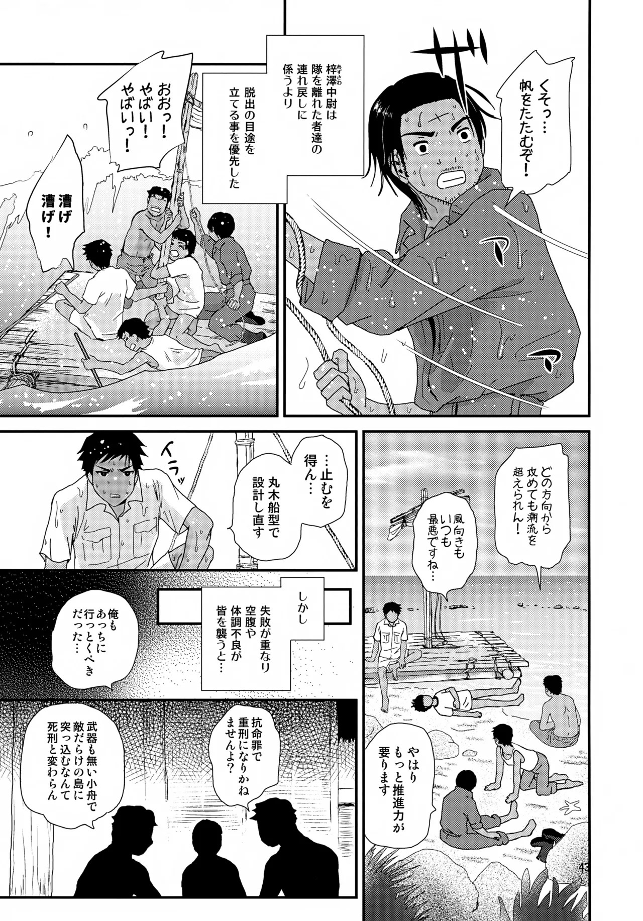 Page 43