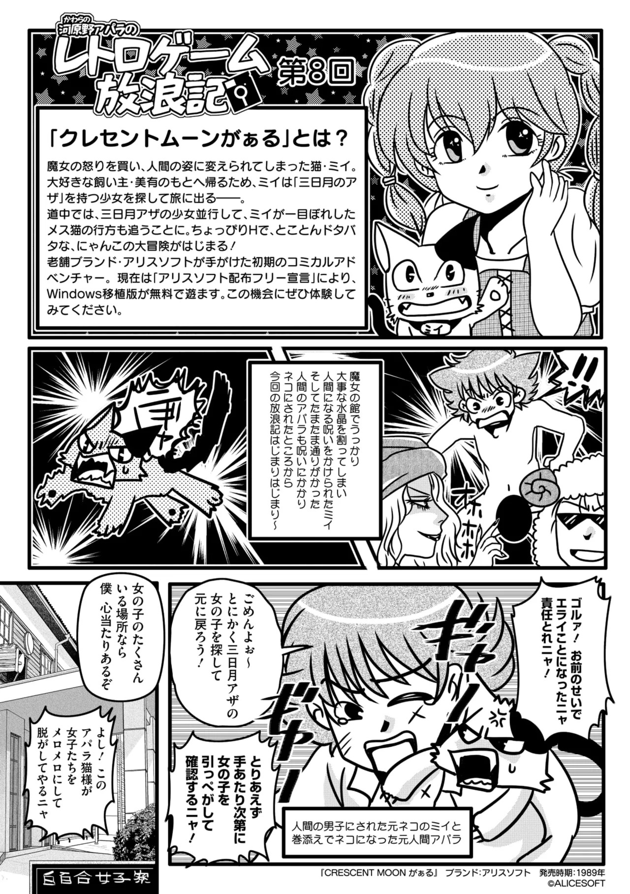 Page 255