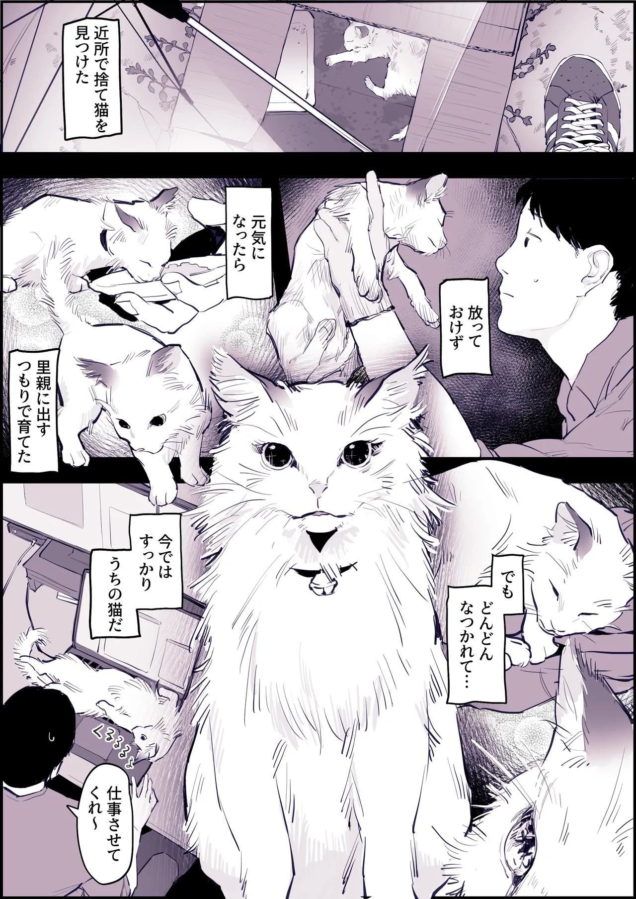 Page 294