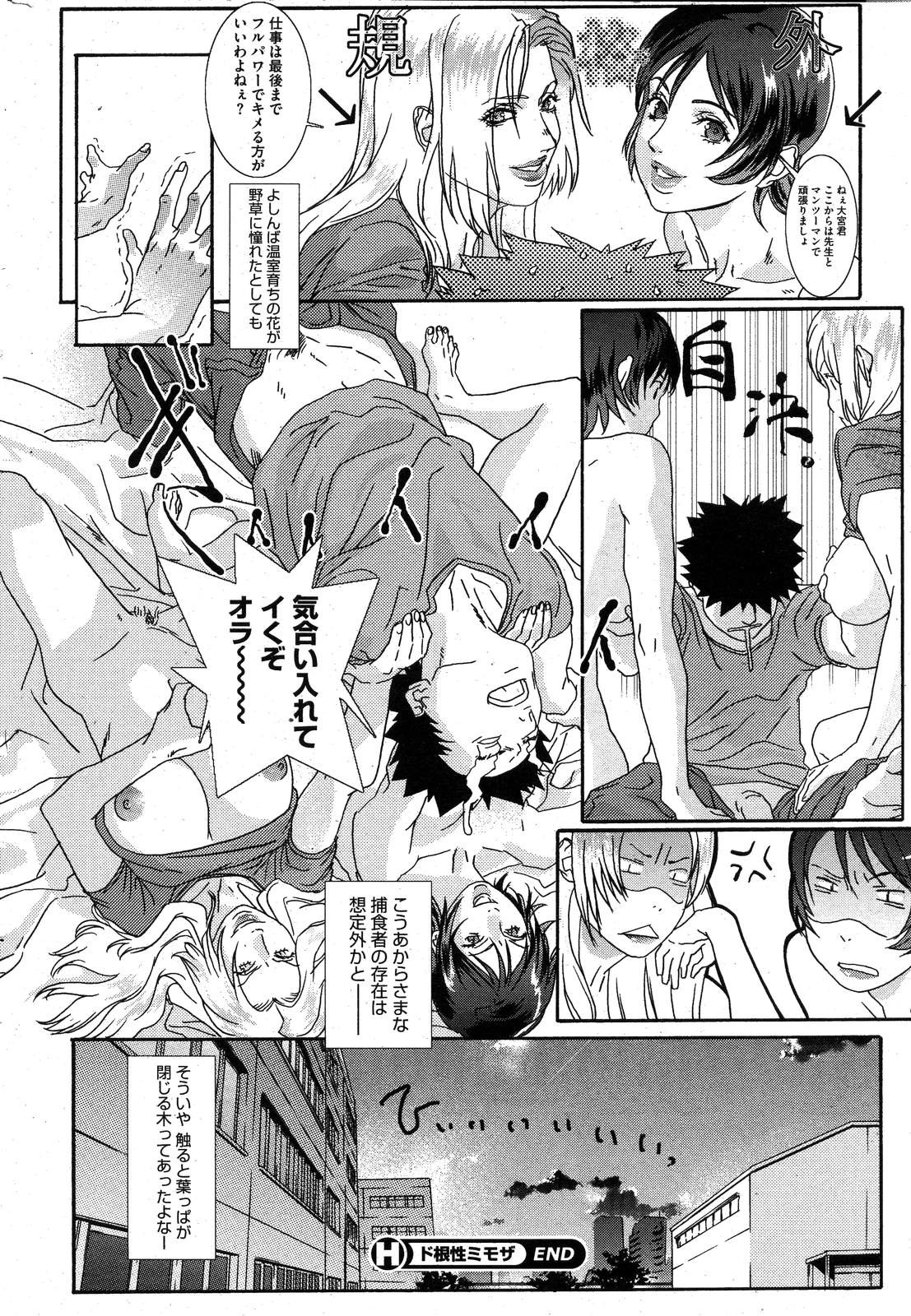 Page 243