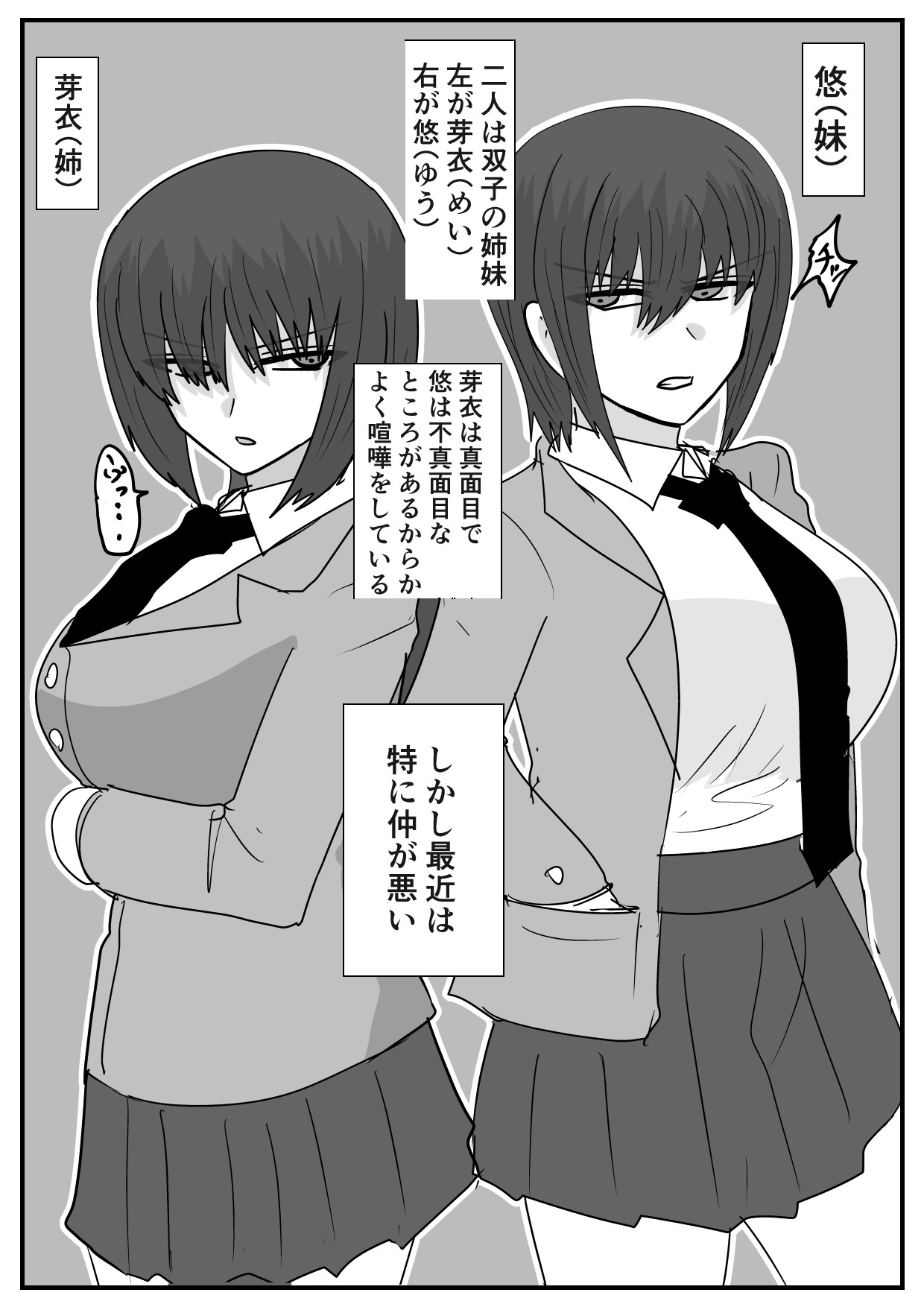 似てない双子の女の子の話