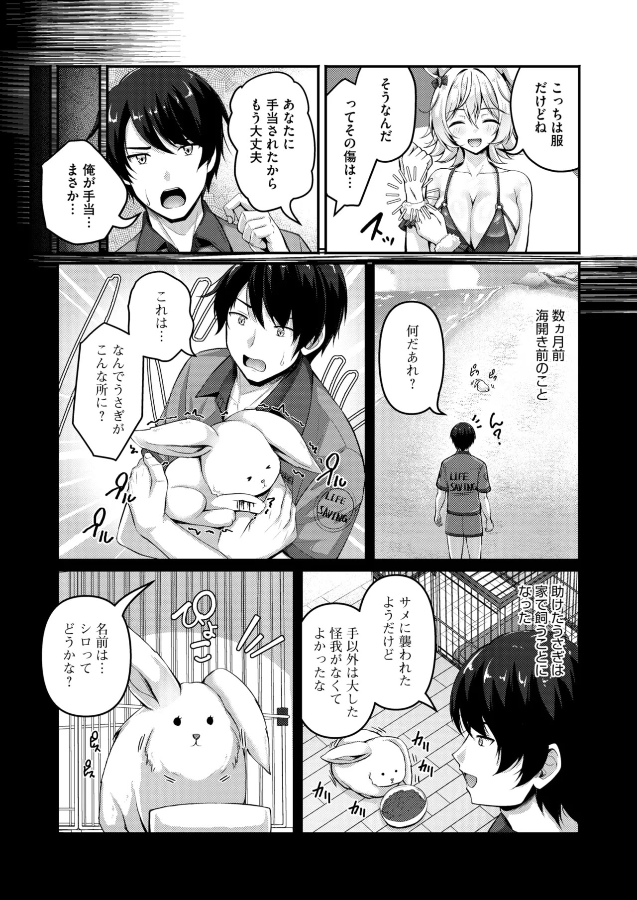 Page 291