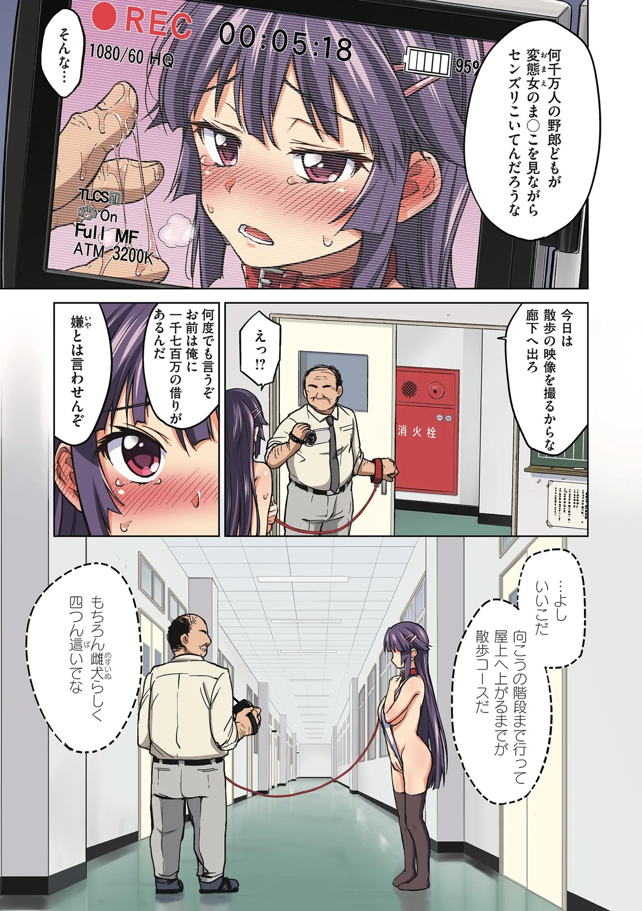 Page 53