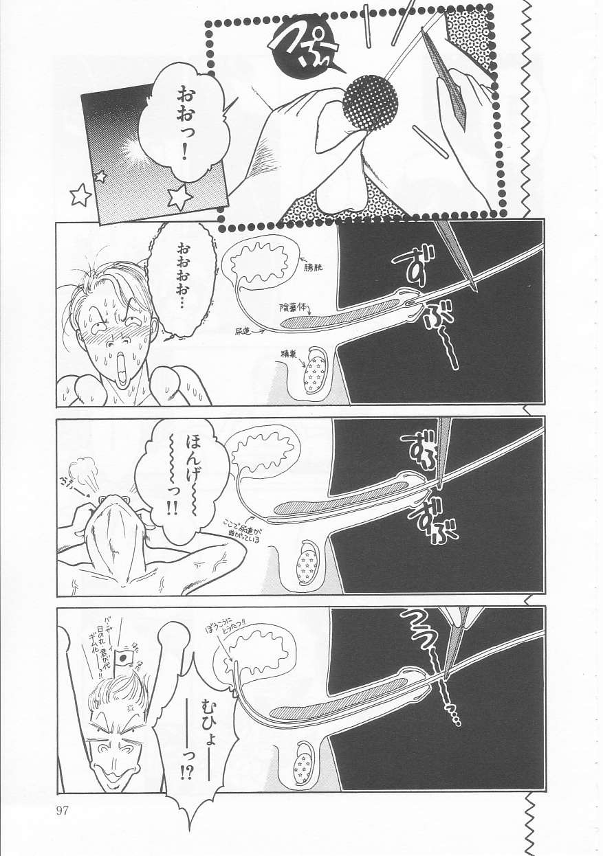 Page 97