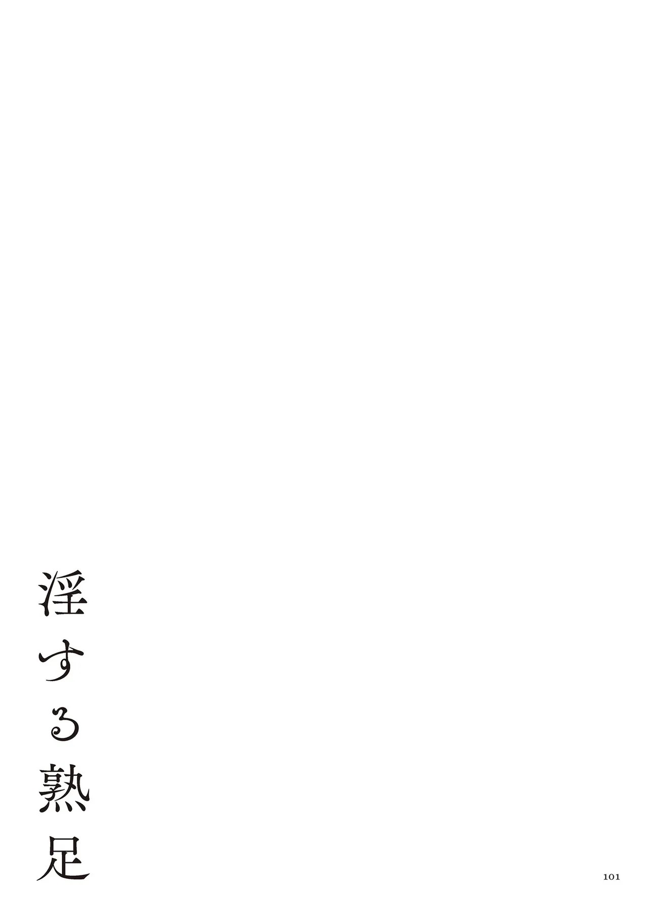 Page 101