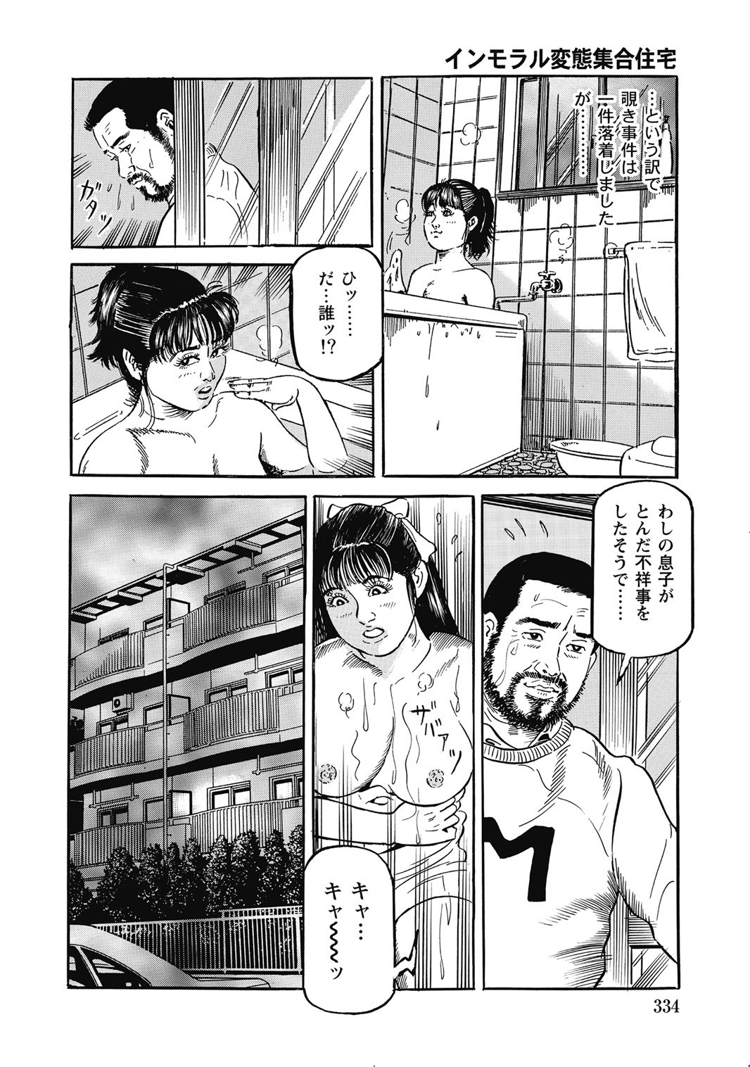 Page 333